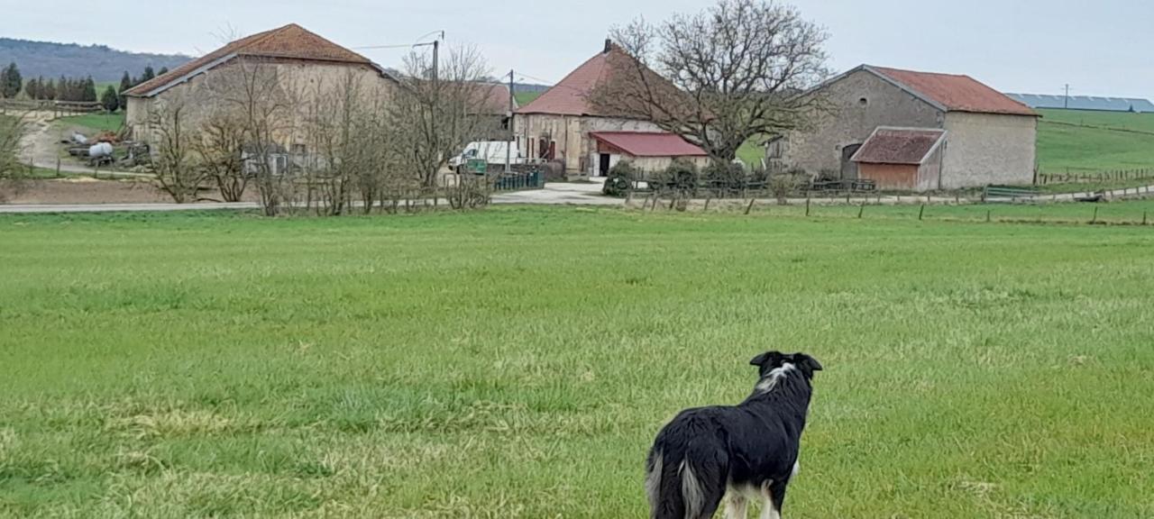 Hotel Ferme Des Champs Vrécourt Zewnętrze zdjęcie