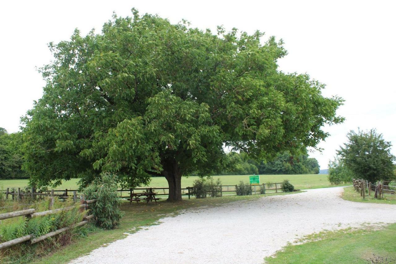 Hotel Ferme Des Champs Vrécourt Zewnętrze zdjęcie